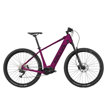 Kellys Tayen R50 29